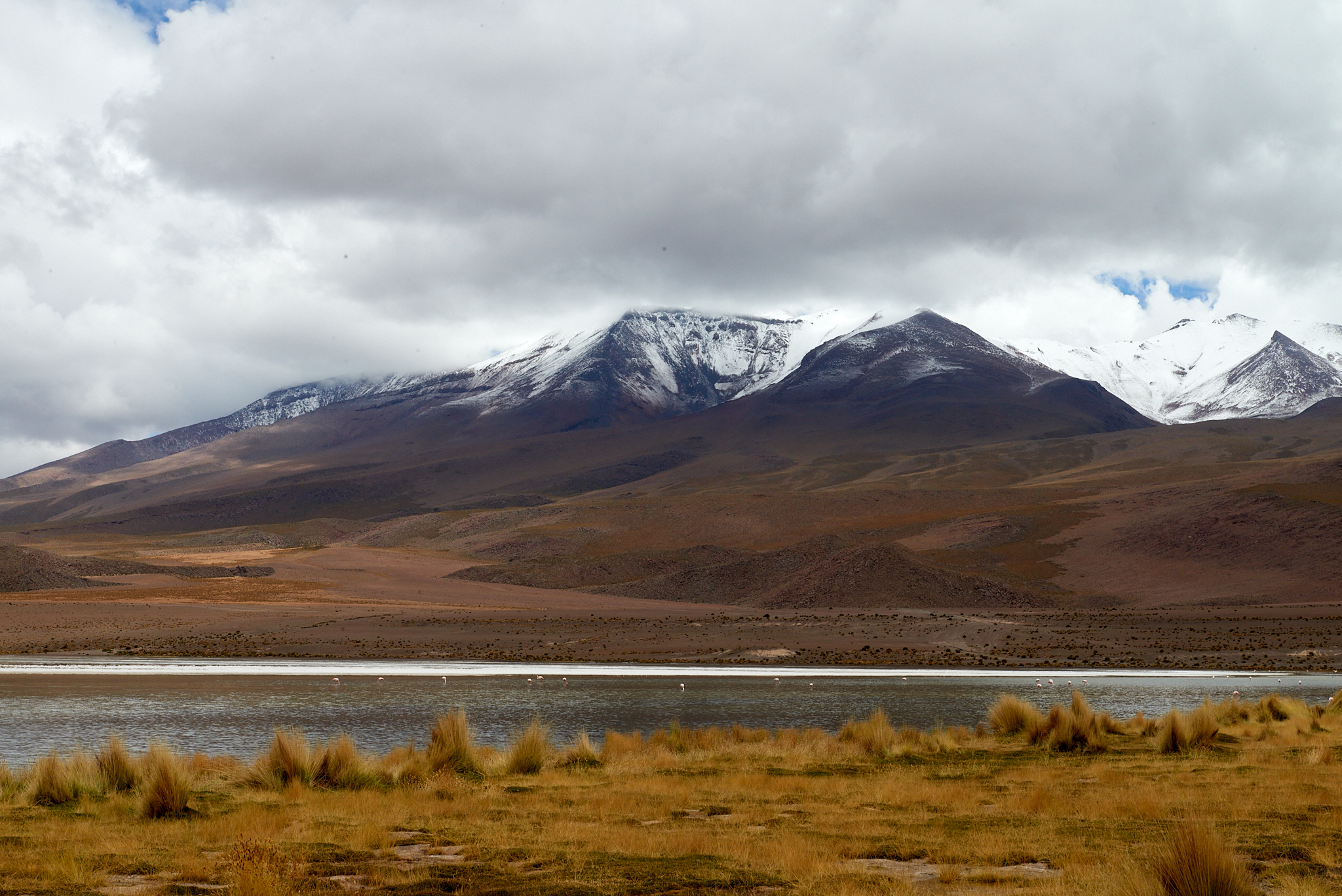 20200313 457 [볼리비아] 카냐파 호수